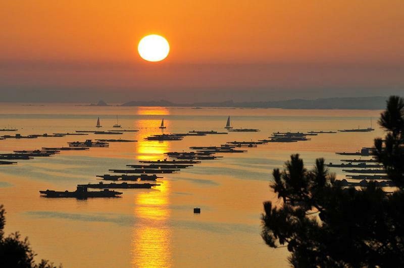 Apartamento A Canteira O Grove Εξωτερικό φωτογραφία